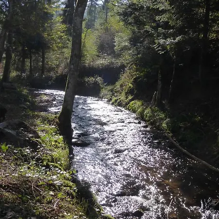 Οργανωμένο κάμπινγκ Le Moulin Gitenay - Gite 3*